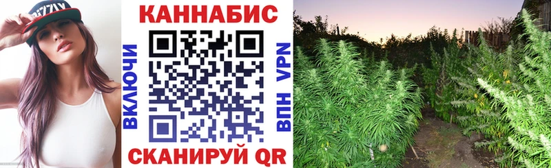 Где продают наркотики Хабаровск Бошки Шишки  OMG маркетплейс  Метадон  Гашиш  Галлюциногенные грибы 