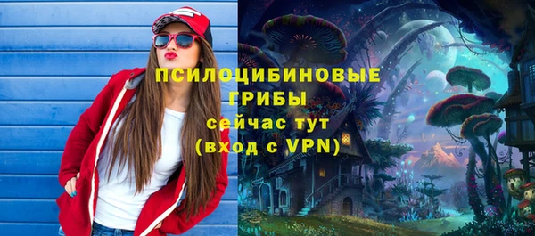 соль курить ск Алзамай