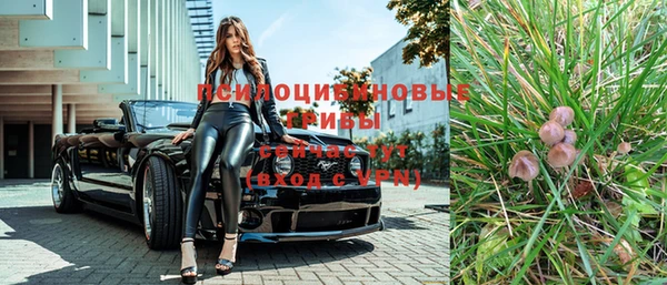 бошки Абинск
