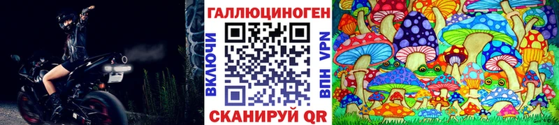 где купить наркоту  Хабаровск  Псилоцибиновые грибы Cubensis 