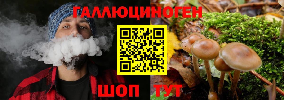 Псилоцибиновые грибы GOLDEN TEACHER  Вход с VPN  Хабаровск 