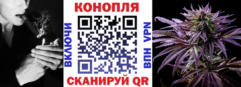 shop Telegram  Хабаровск  Бошки Шишки конопля  магазин продажи  